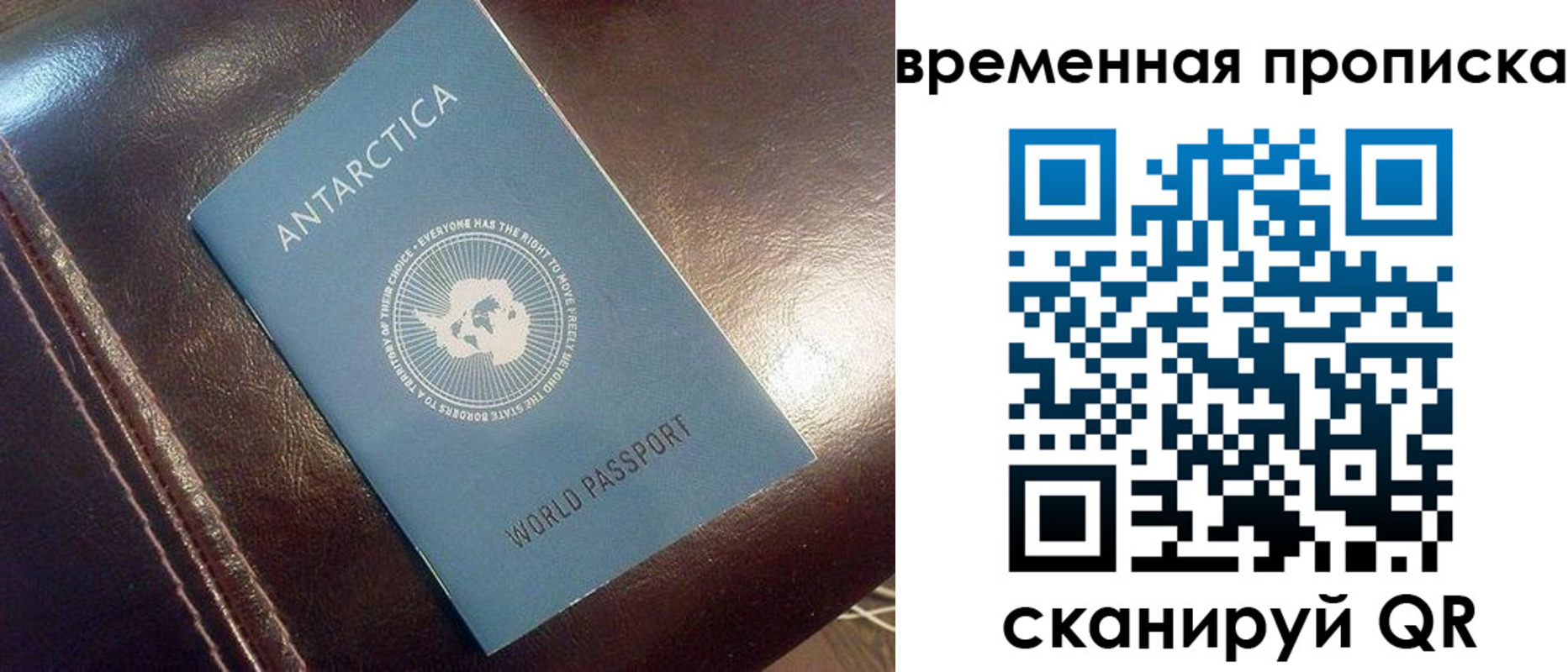 прописка паспорт в Алексеевке